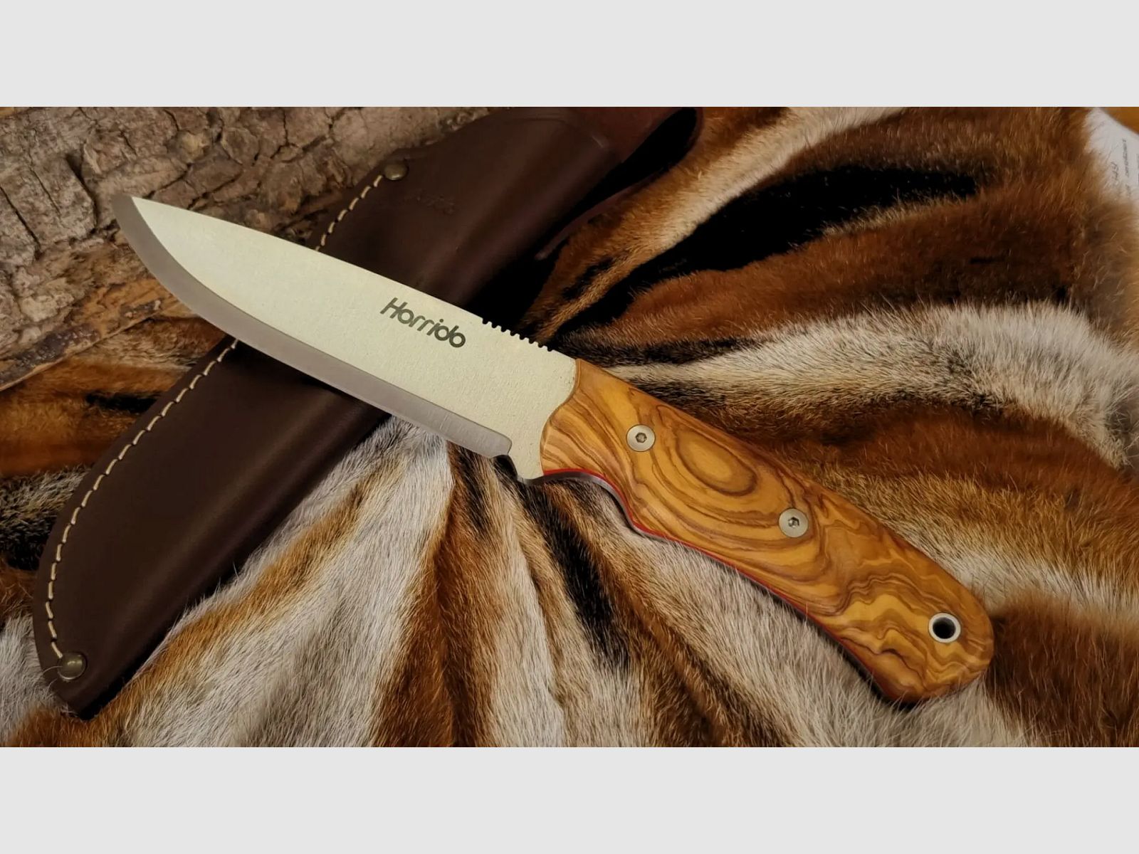 Horrido cuchillo de caza Oso