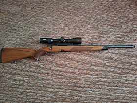 Steyr SM12 Goiserer