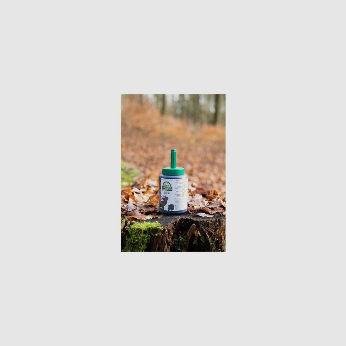 Buchenholzteer mit Pinsel 500ml
