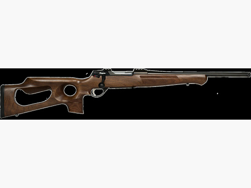 Anschütz 1782 Lochschaft