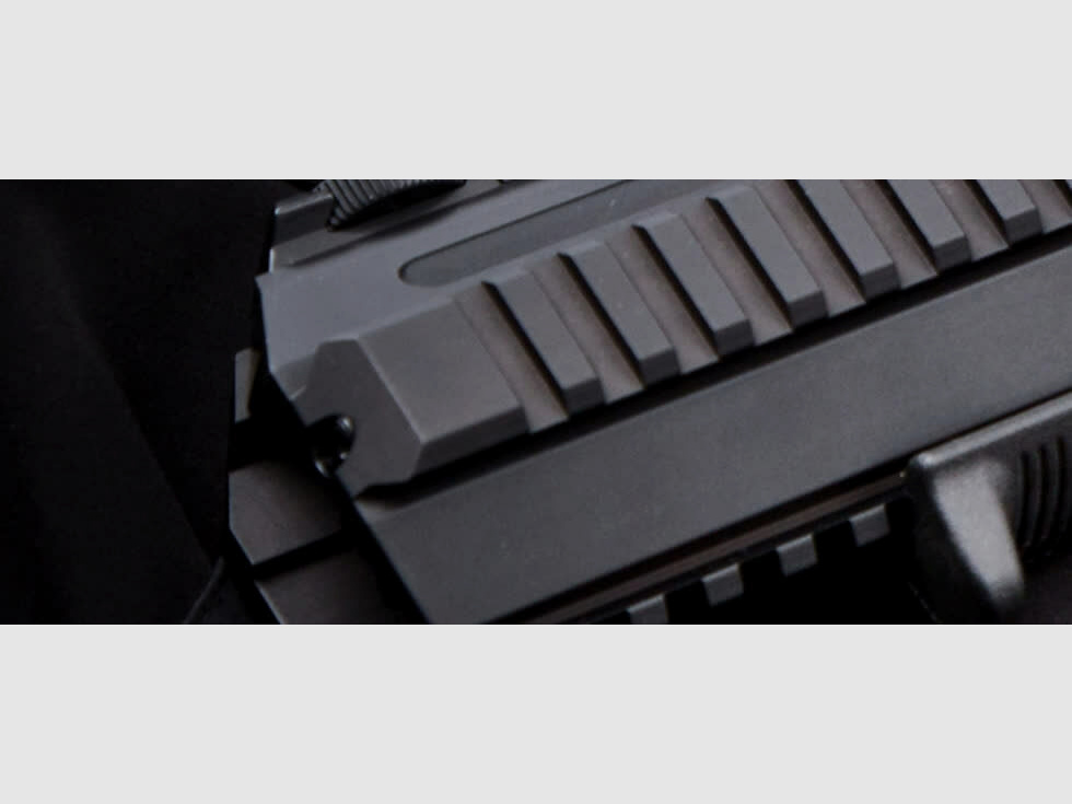 Hera Arms TRIARII mit CCS-Schaft - CZ SP01 Shadow 2