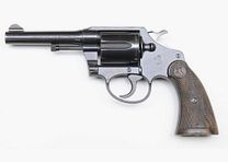 Colt Police Positiv