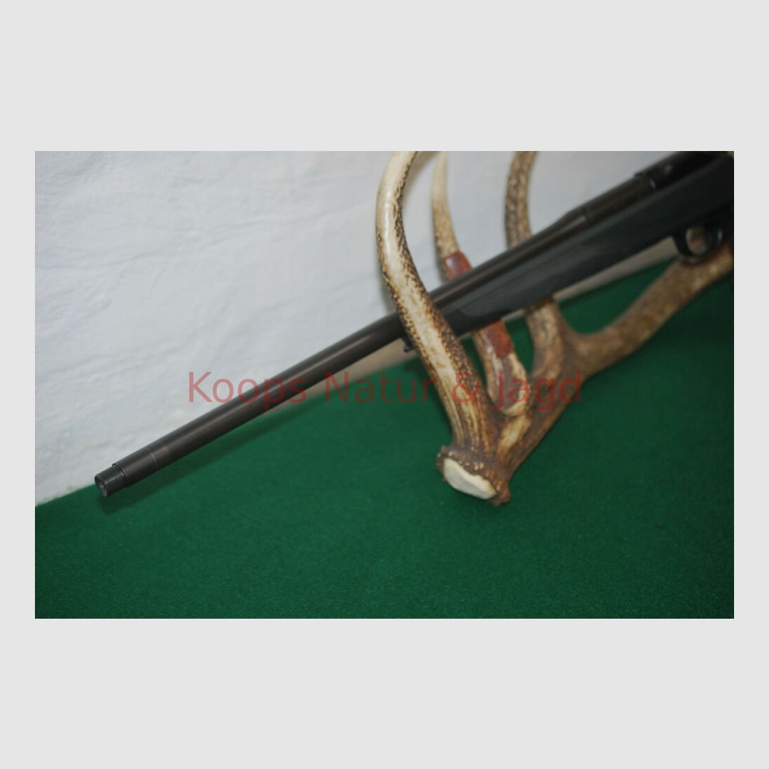 Blaser R8 Professional Success