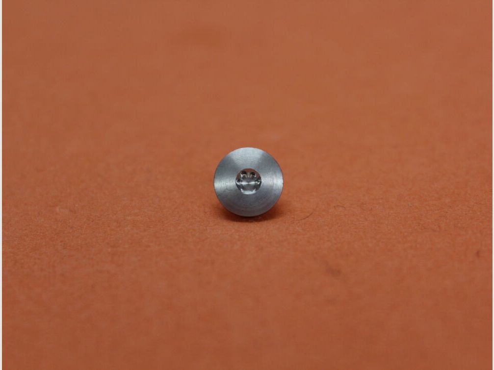 SIG Sauer SIG Sauer X-LINE: 1 piece grip panel screw Torx silver stainless steel (70001450)