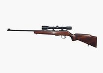 Anschütz 22 Magnum