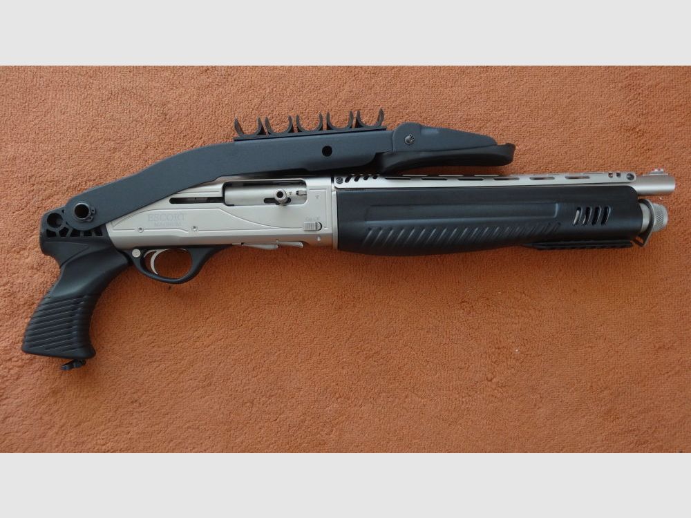 Hatsan SL-FLINTE: HATSAN ESCORT AUTO DEFEND MARINO CAL. 12/76