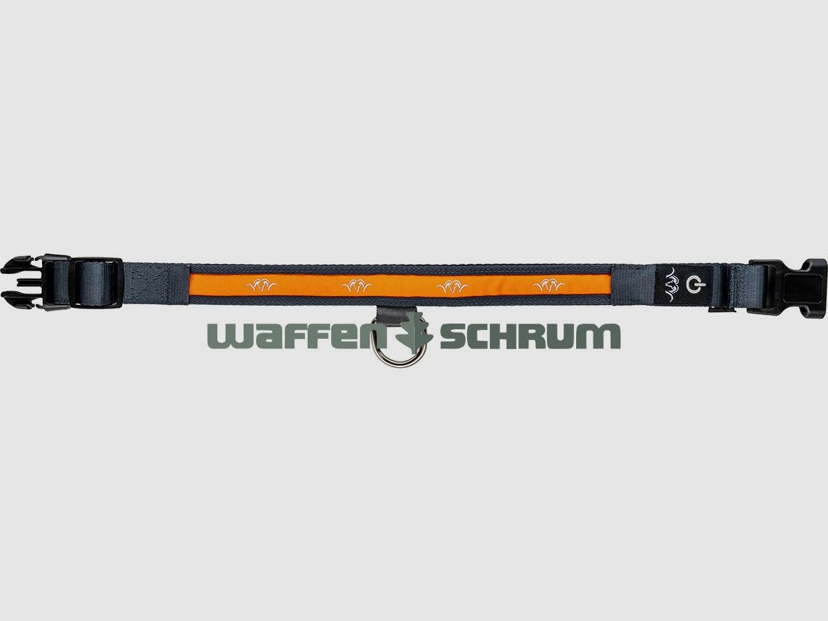 Blaser Halsband LED   orange, Nylon