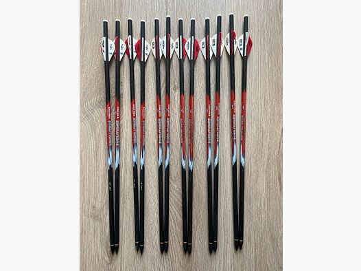 Pfeile Bolzen Armbrust Black Eagle Executioner Carbon 18 Zoll 