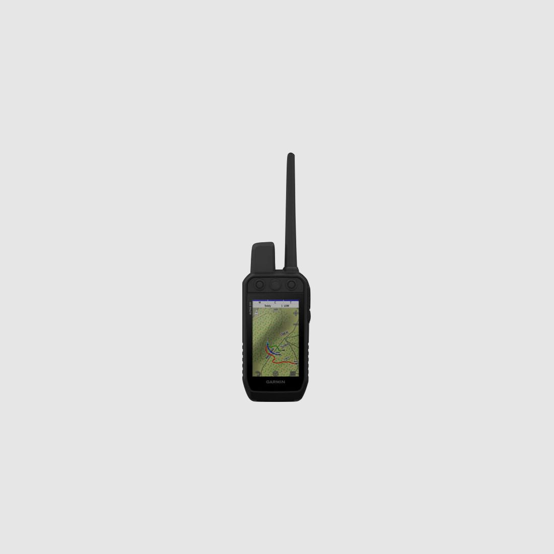 GARMIN – PALMARE ALPHA 200