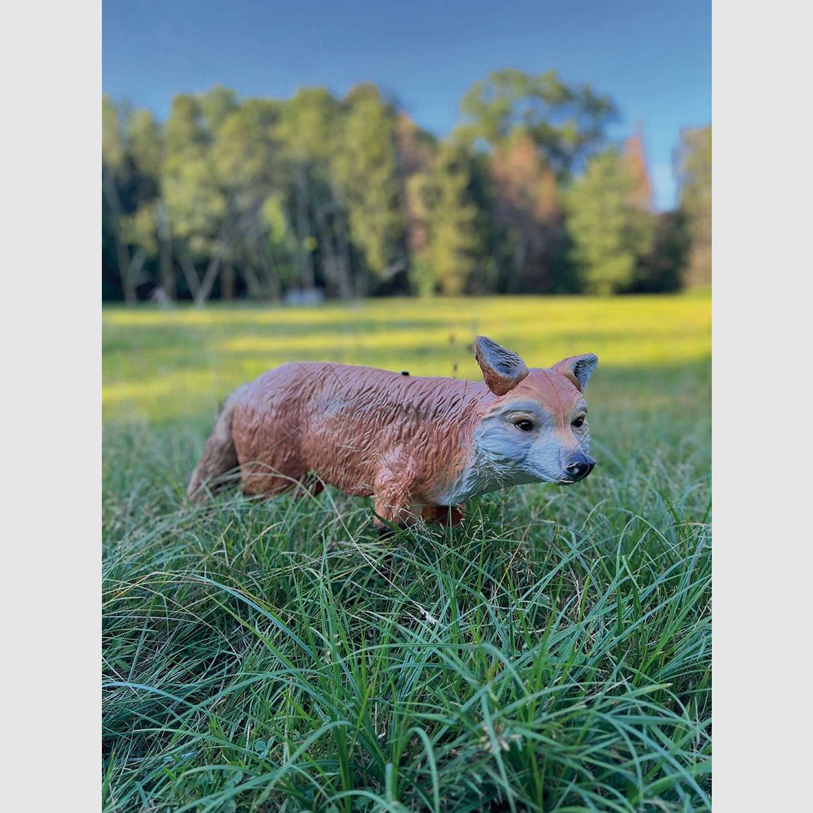 Fuchs Attrappe