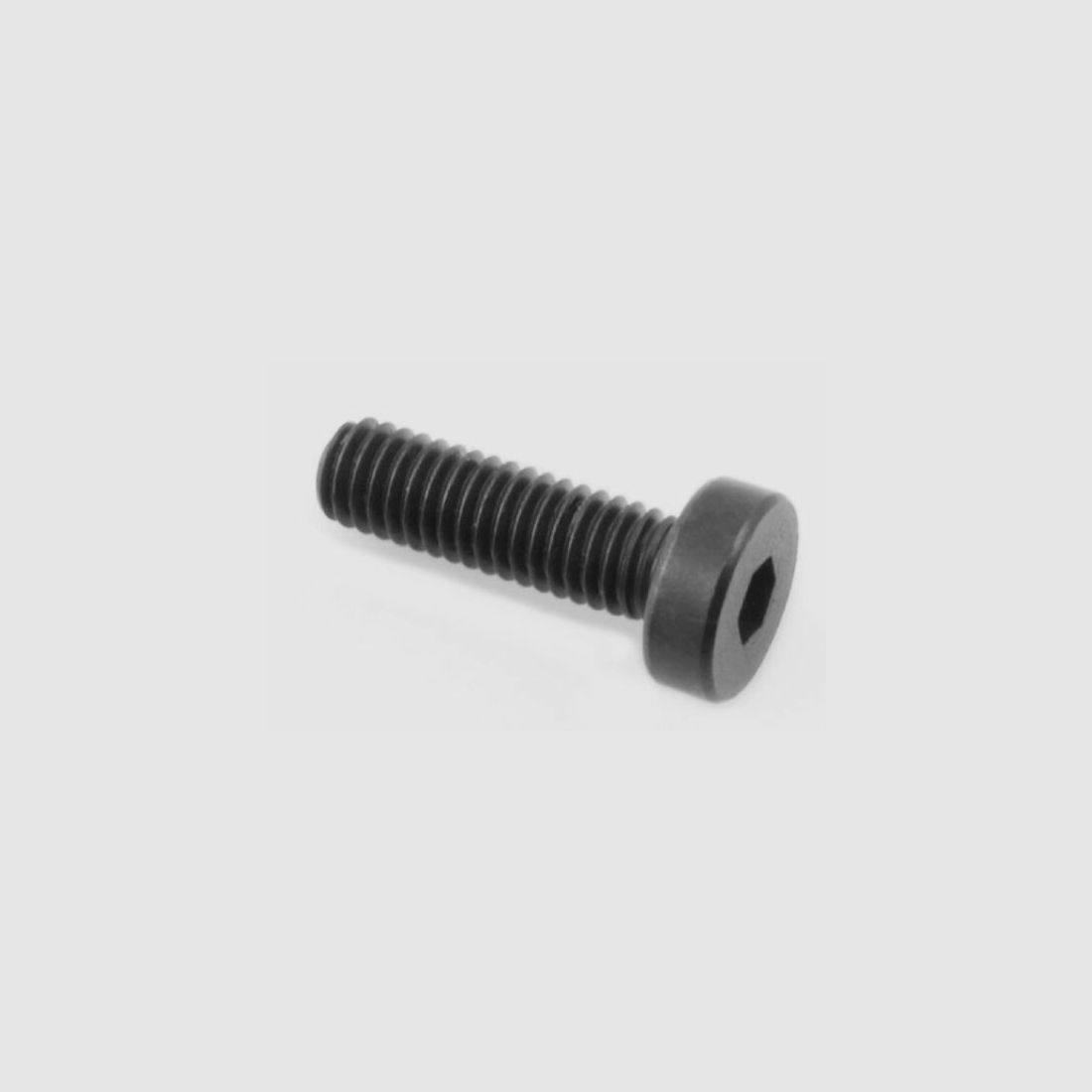 HW 100 Screw 2646