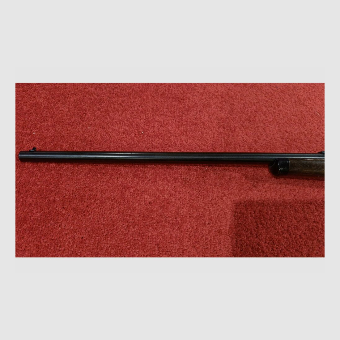 Anschütz zonder .22lr