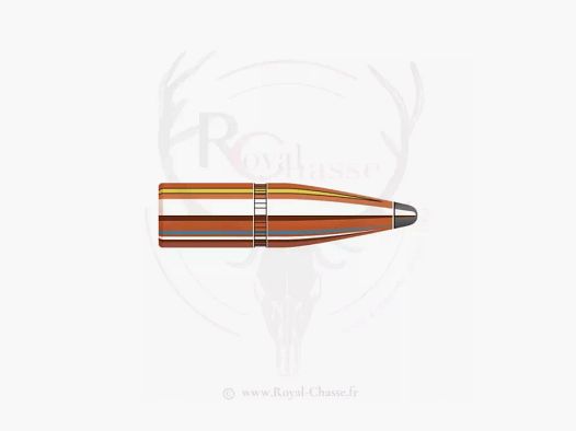100 ogives Cal.30 D.308 180Grs INTERLOCK SP HORNADY