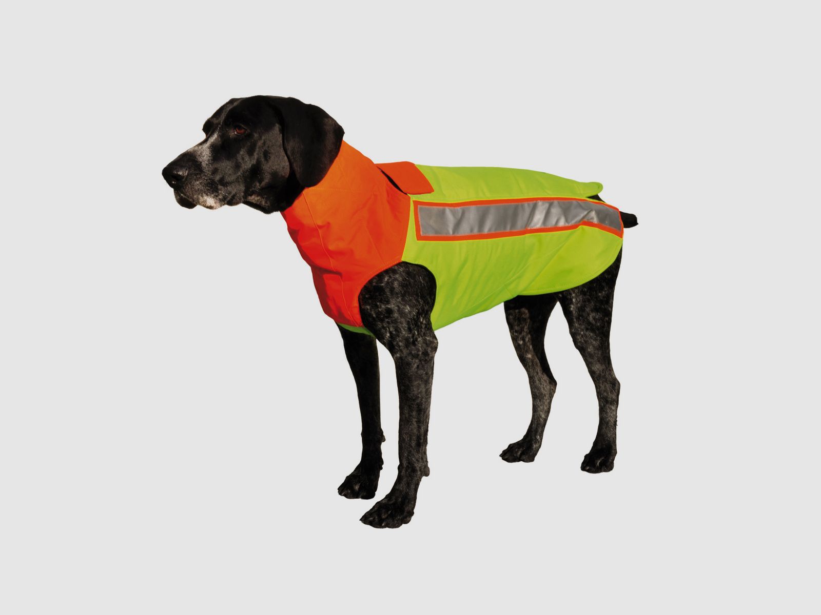 HUBERTUS chaleco de protección para perros Amarillo/Naranja