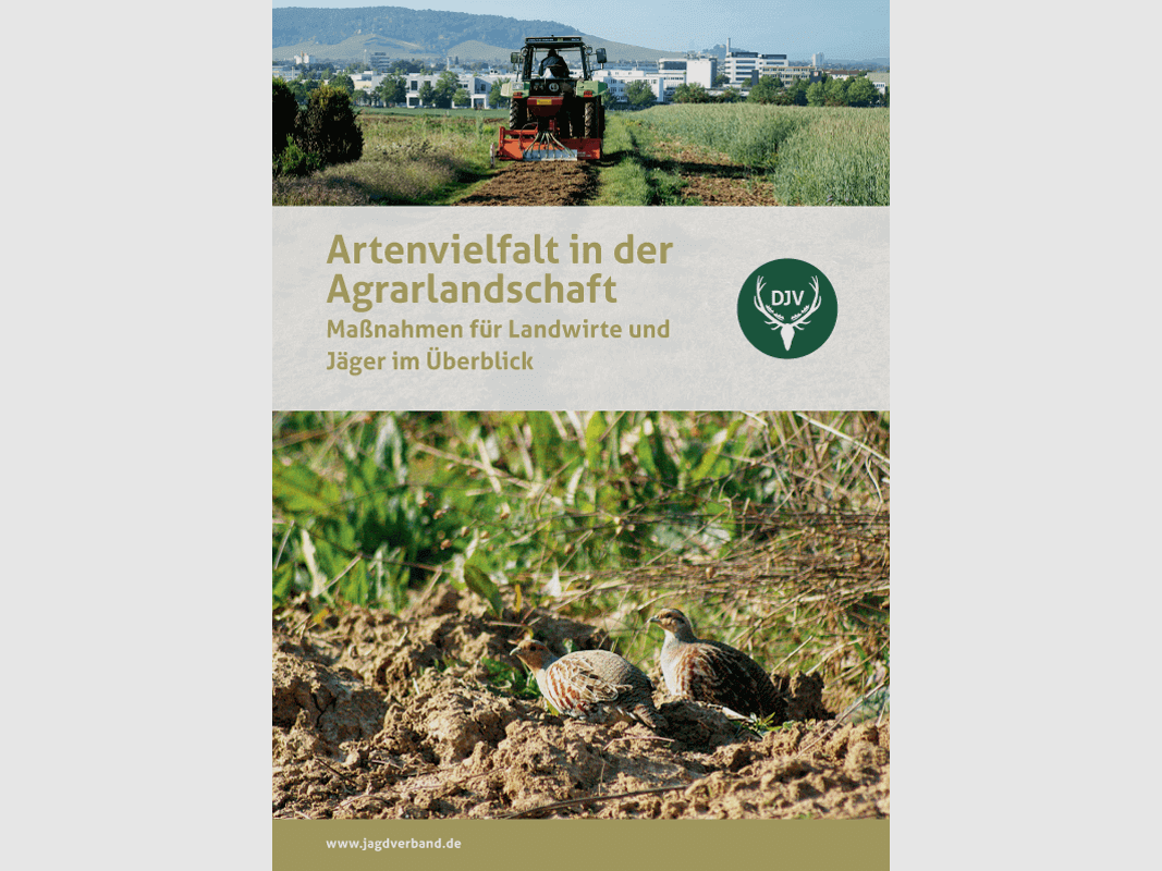 Brochure "Biodiversité dans les paysages agricoles"