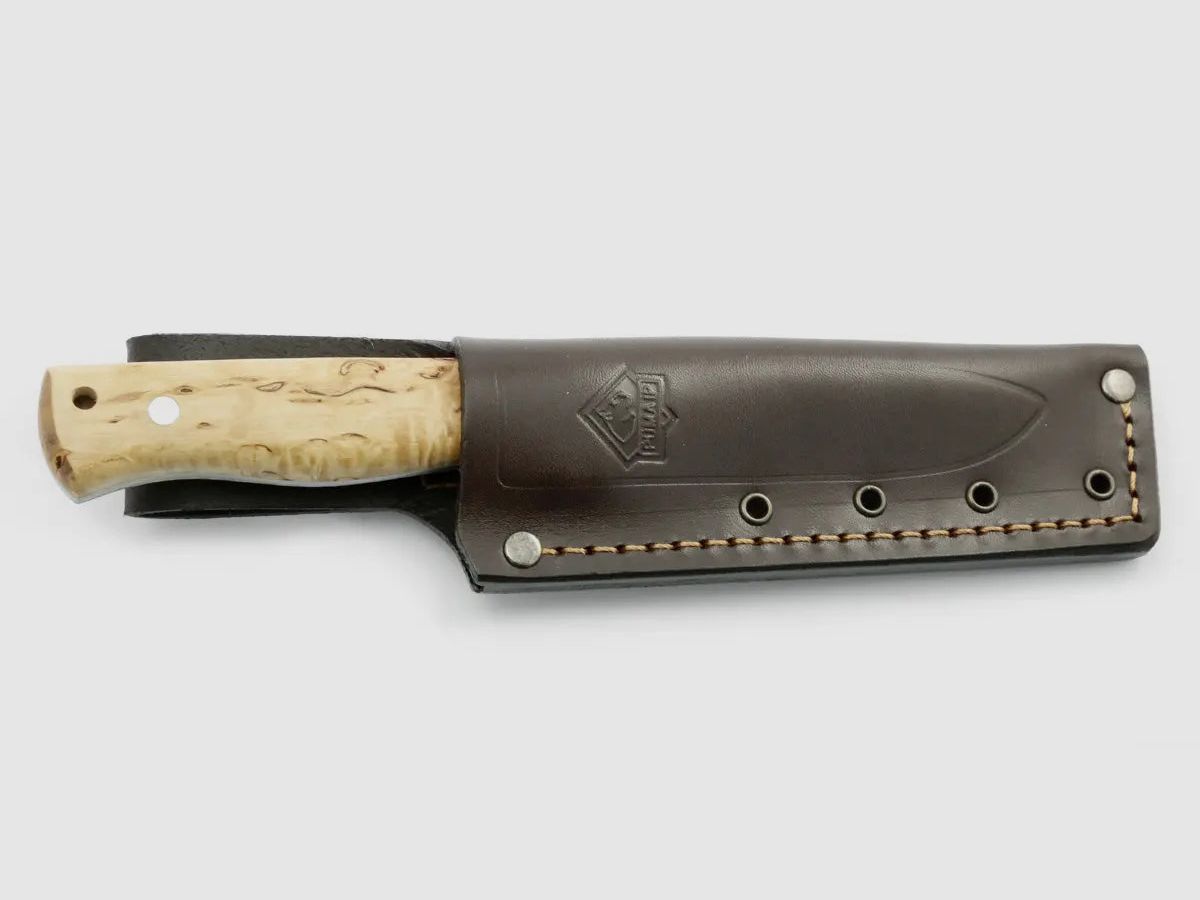 PUMA IP beaver