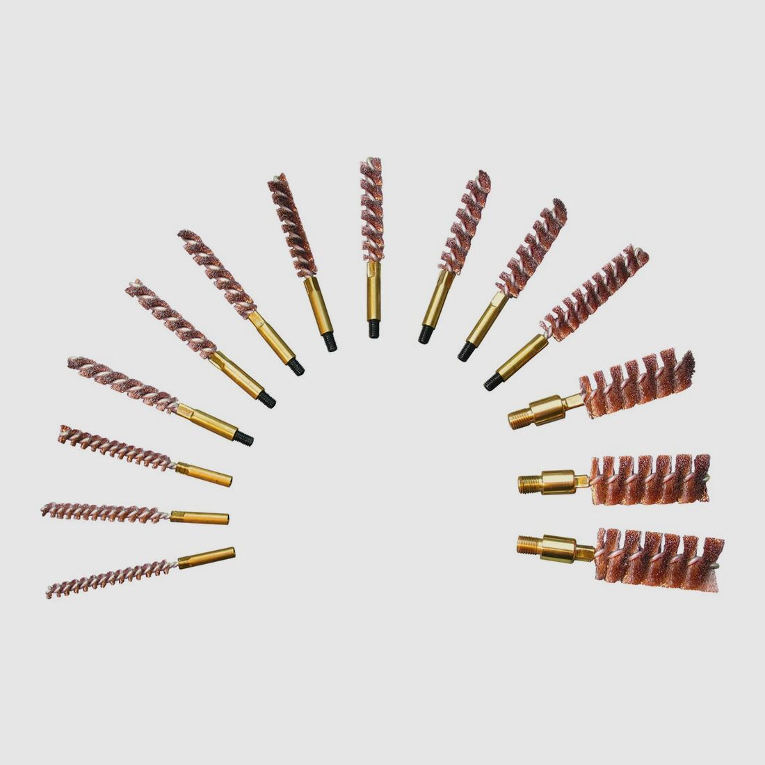 Raetz Brush Raetz Bronze, image 4 of 4