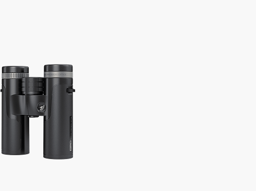 PASSION™ SD 8x34
