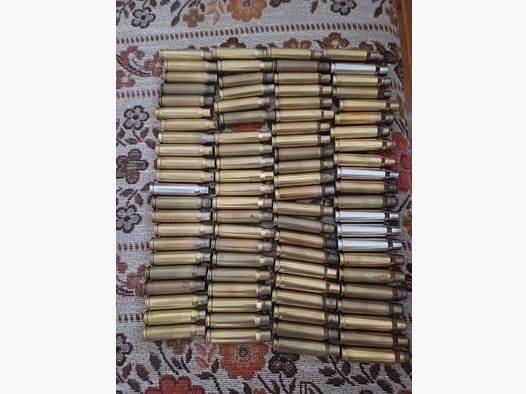 .308 Win Hülsen 118 Stück 