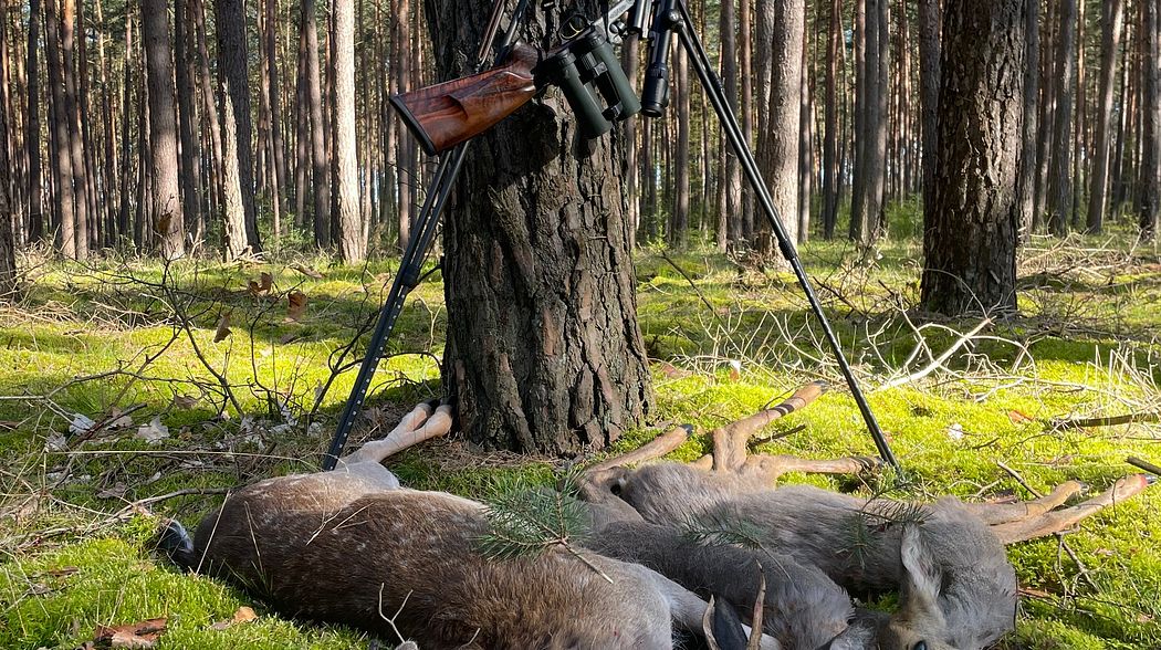 Pirschen auf Rotwild - Tackle, Tactics & Tips
