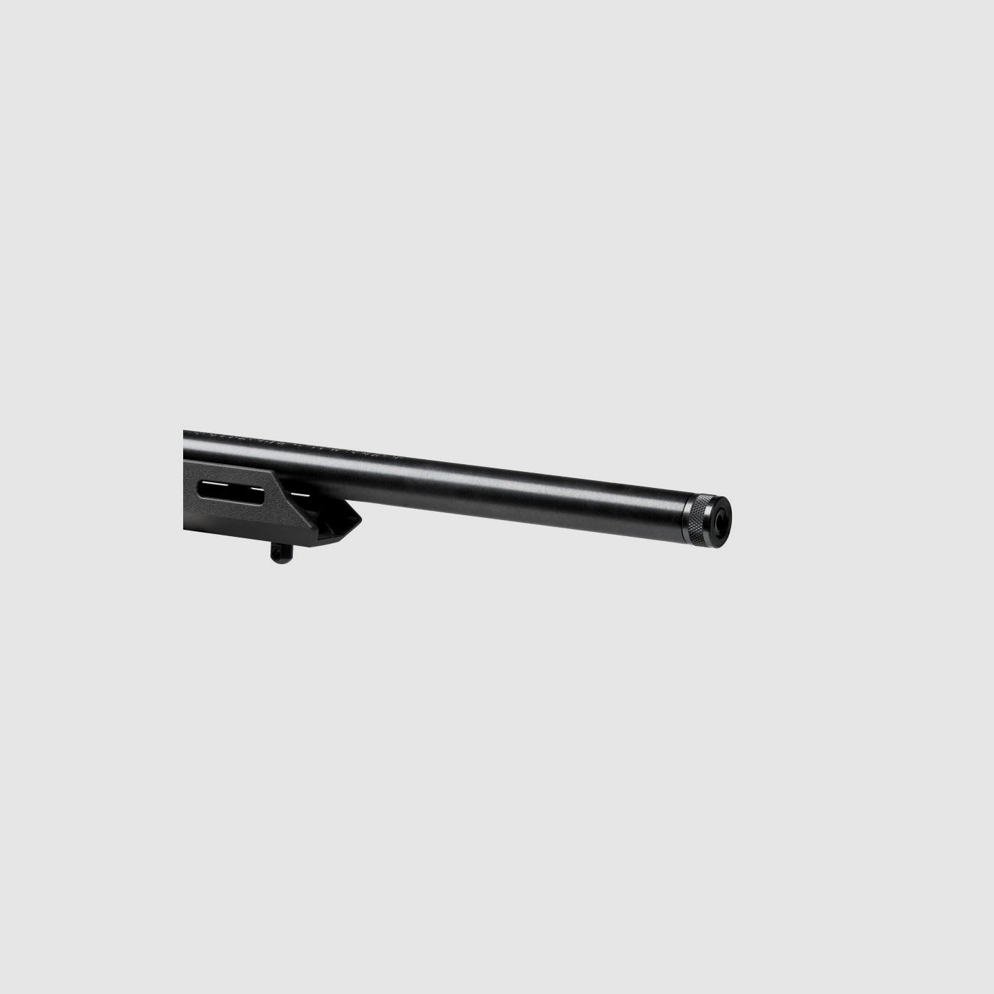Savage 64 Precision Cal. 22 LR, image 6 sur 7