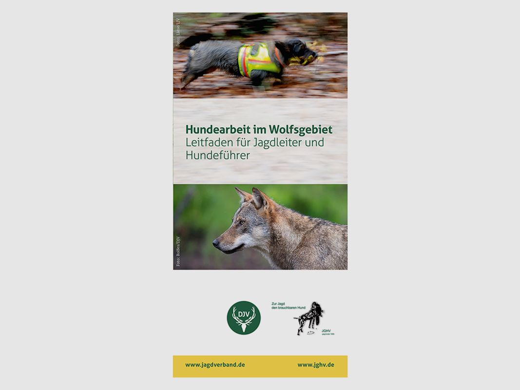 Flyer "Hundearbeit im Wolfsgebiet"