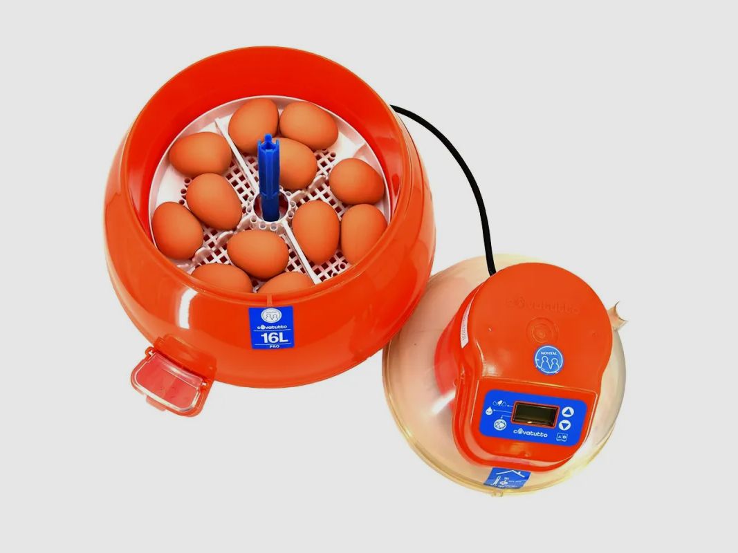 Couveuse automatique Novital Covatutto 16L Pro, image 8 sur 25