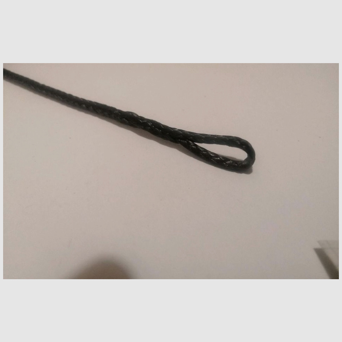 Dyneema Sehnen Alligator, Stinger, Revo 7, Interceptor