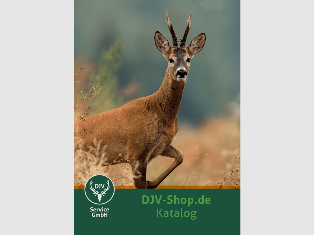 Catálogo de servicios DJV