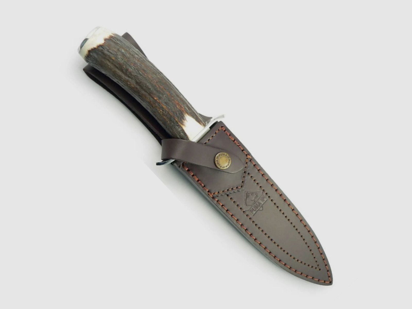 PUMA IP wild boar