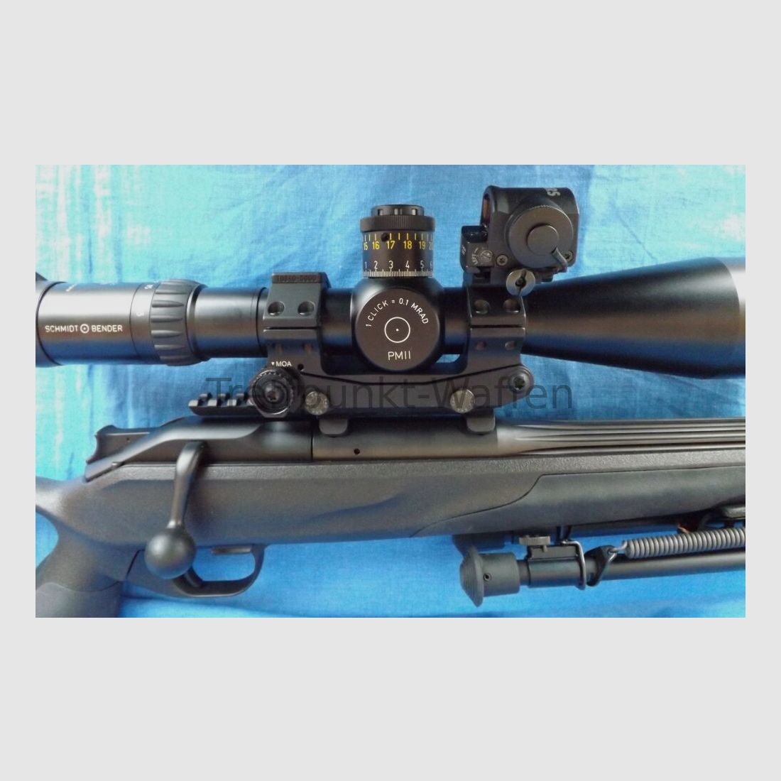 Blaser R8 Professional Sucesss Long Range