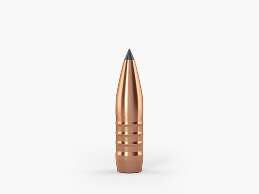 TN-Geschoss CROCKETT, 8mm, 160grs. (50 Stk.)