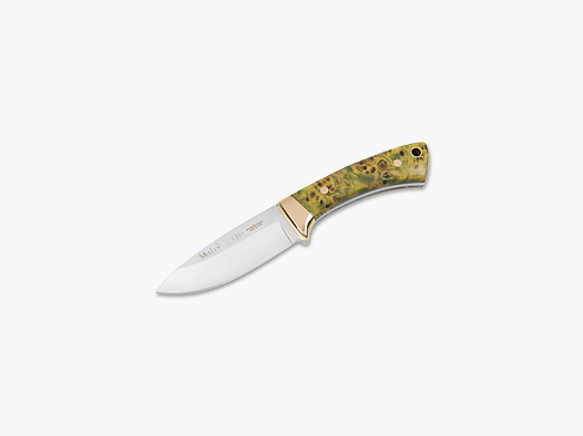 Muela Colibri Col-7.TO