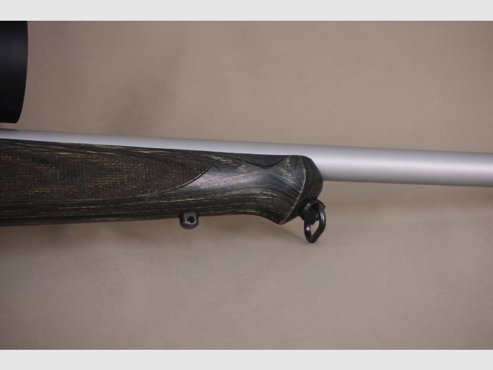 Sauer 101