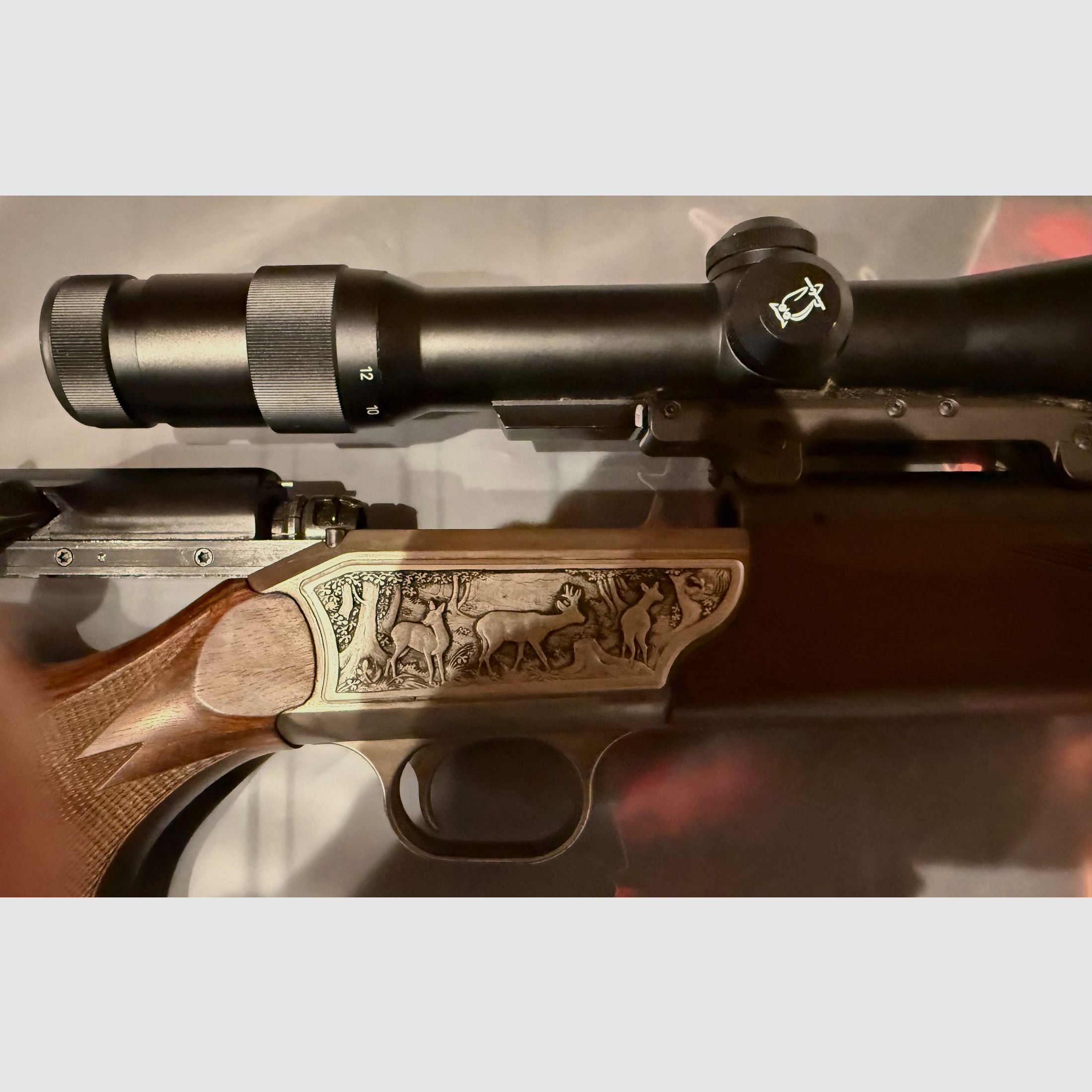 Repetidor de cerrojo Blaser R93 Luxus con visor Docter Optic 3-12 x 56 con retícula iluminada