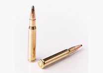 FIOCCHI SP CALIBRO 30-06 SPRG