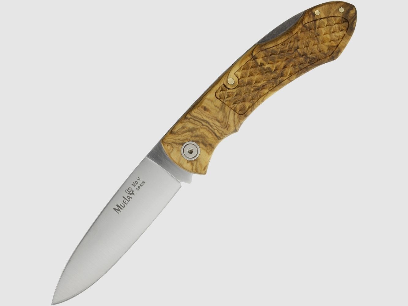 Muela Taschenmesser Castor mit Filework Olivenholz 42a konform legal fhren