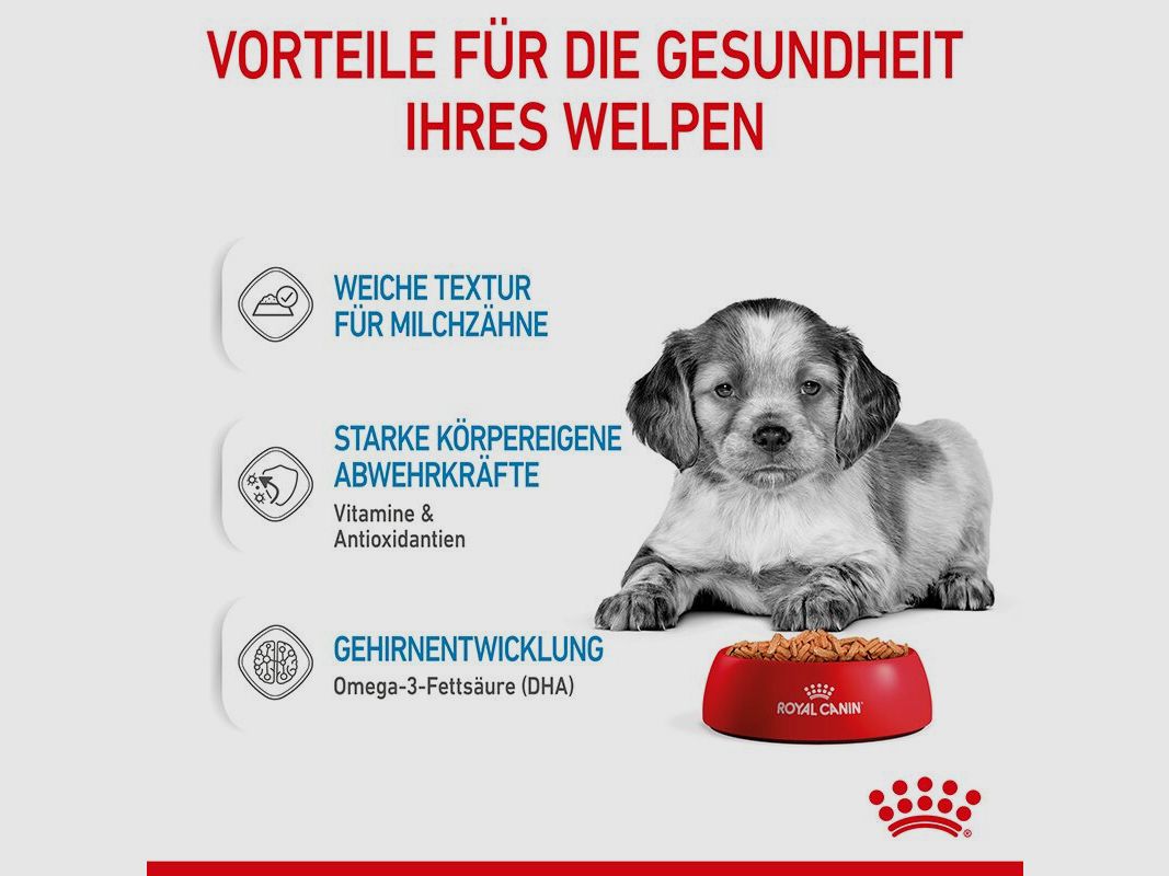 ROYAL CANIN Mittelgroße Hunde Nassfutter Welpen bis zum 12. Monat 10x140 g