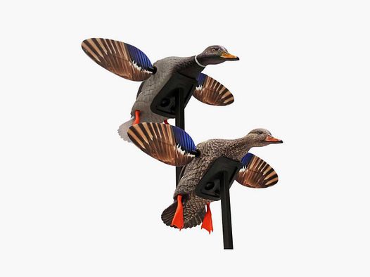 Pack Mini-Mallard Mojo