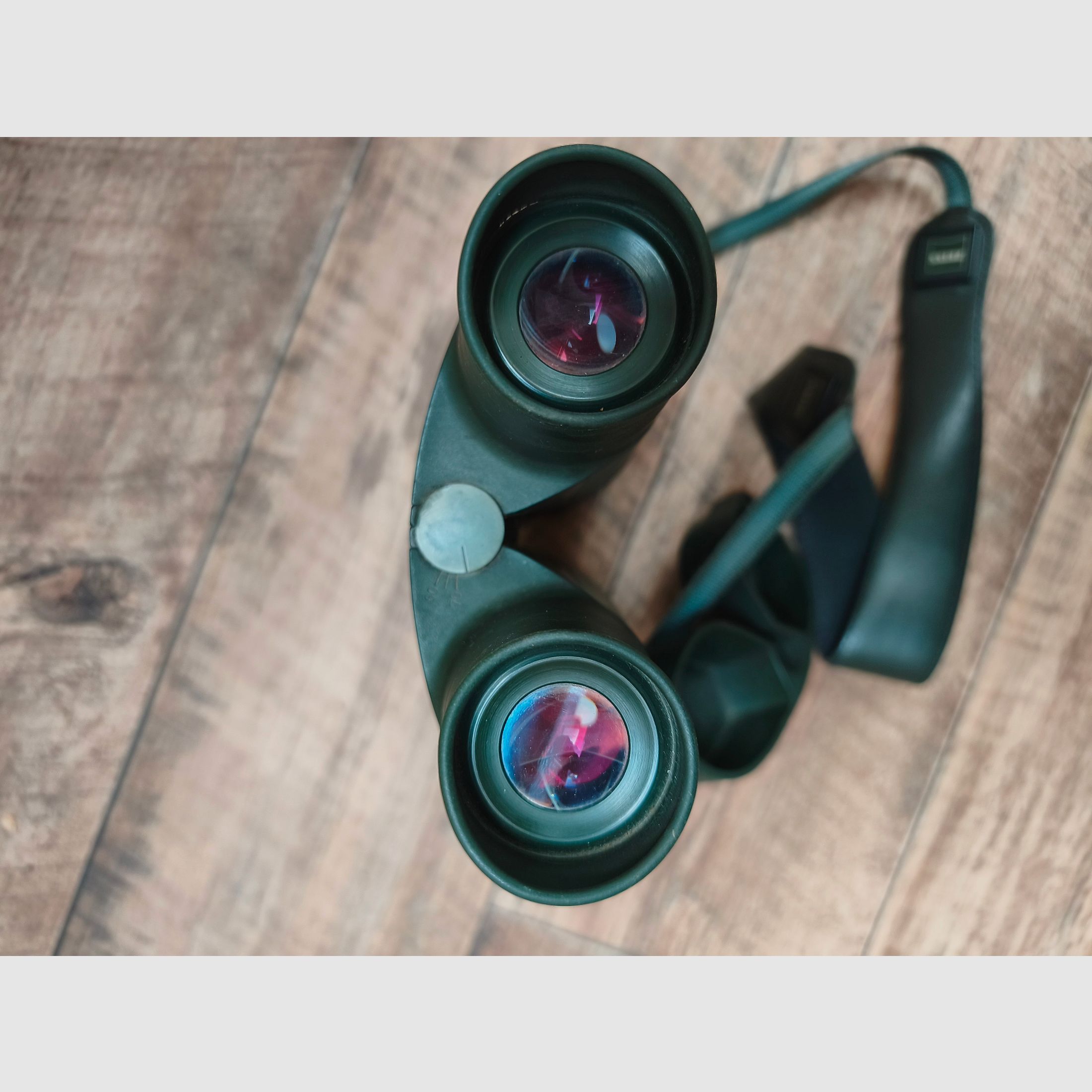 Purchase request: Zeiss binoculars 10x56 B T P