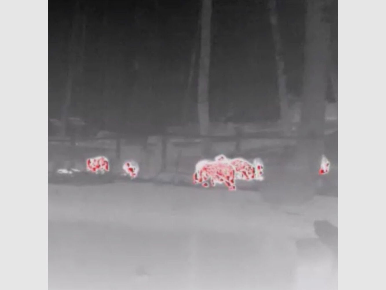 Nightlux thermal imaging device JSA IR-435