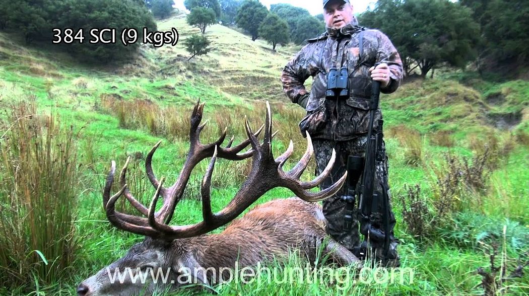 Hunting New Zealand - Ample Hunting Red Stag