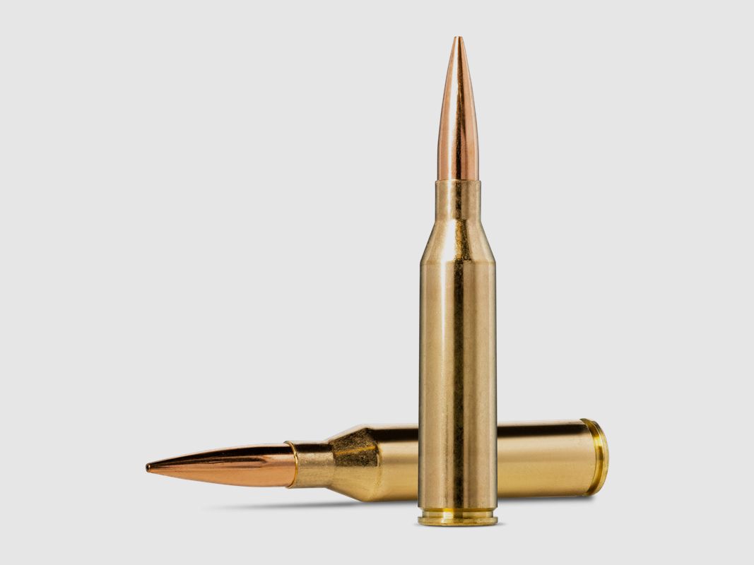 NORMA 300 NORMA 230 GRS / 14,9 G HYBRID TARGET HPBT 20 STK, Bild 3 von 3