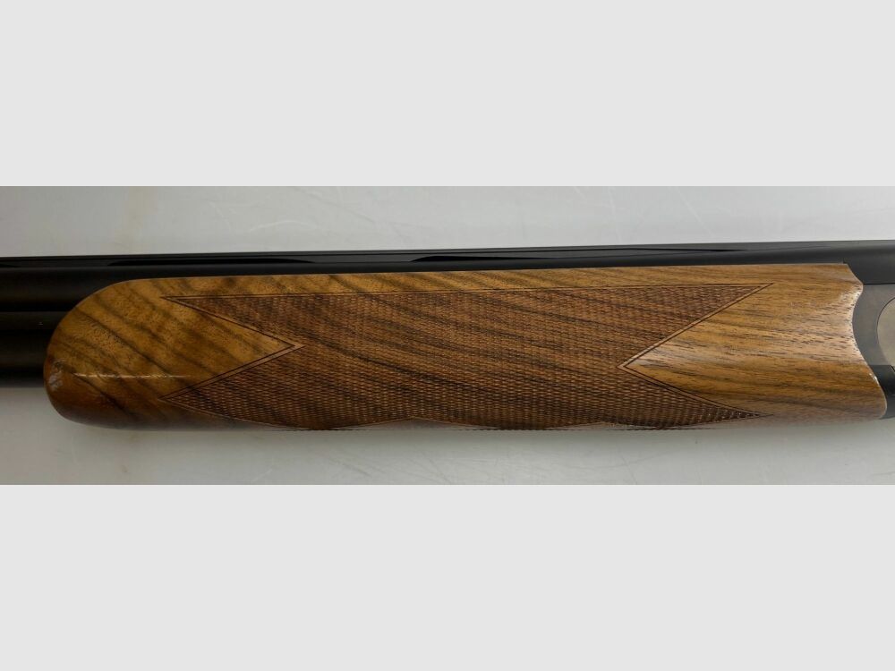 Blaser F16 Game