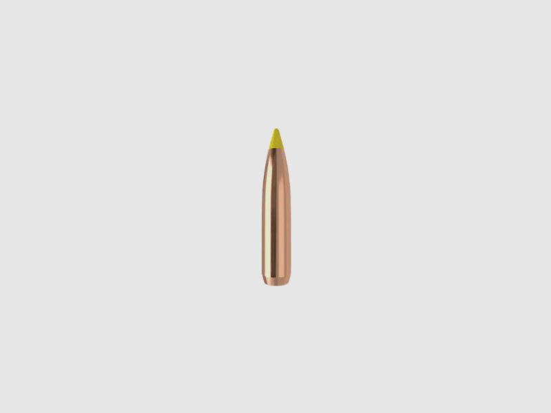 Nosler Geschoss .270/.277 Ballistic Tip 170GR Teilmantel Tipped Boat Tail 50 Stück