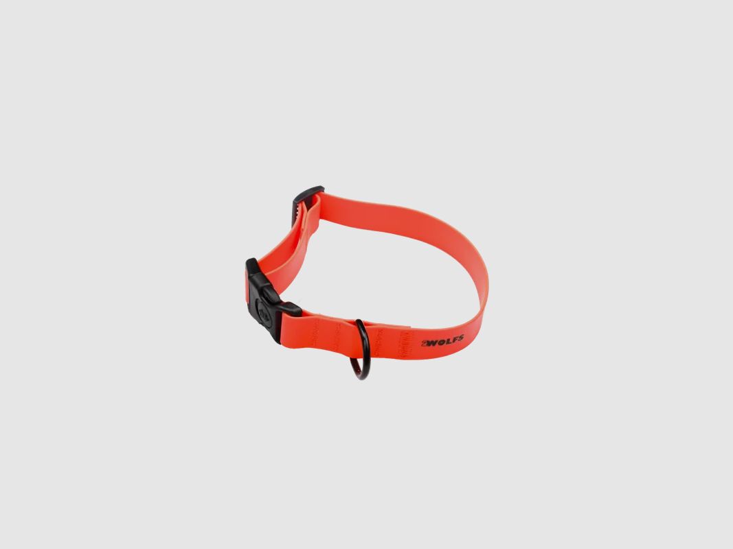 2WOLFS DINGO DOG COLLAR