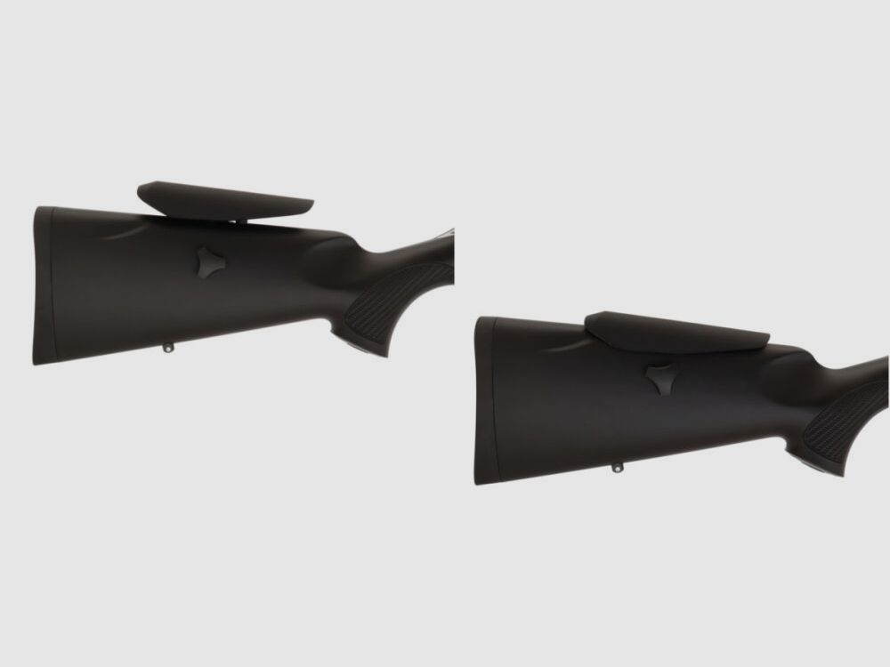 Sauer & Sohn	 S 100 Stainless XTA .30-06 / LL 56cm / Laufgewinde