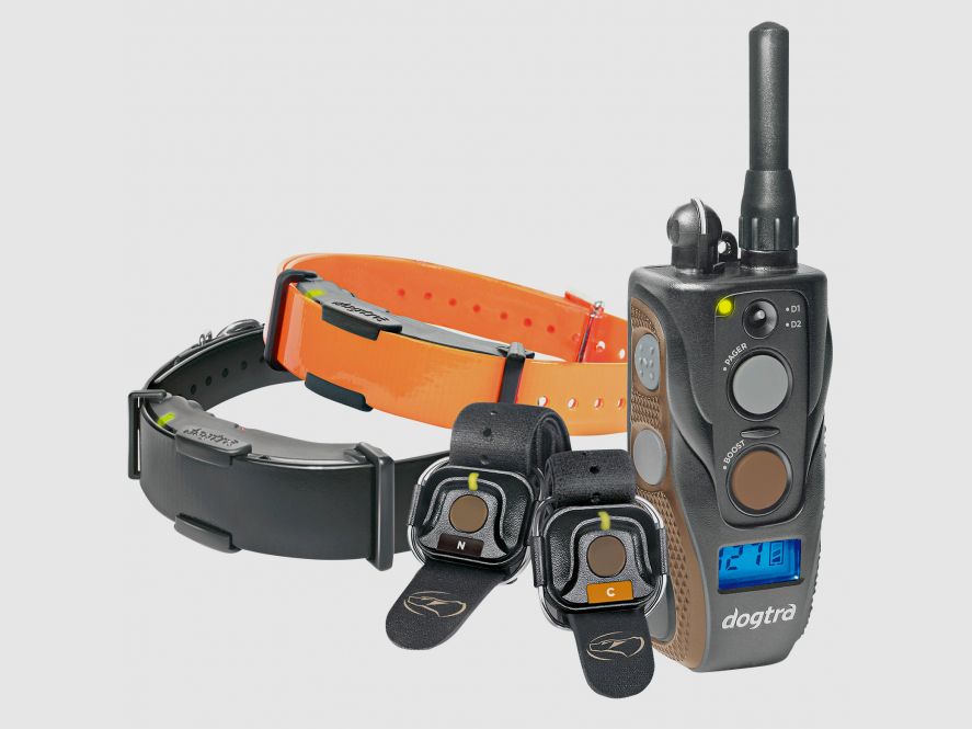Dogtra      Dogtra Trainingshalsband ARC 802 Free Plus  Dogtra    Dogtra      Dogtra Trainingshalsband ARC 802 Free Plus  Dogtra