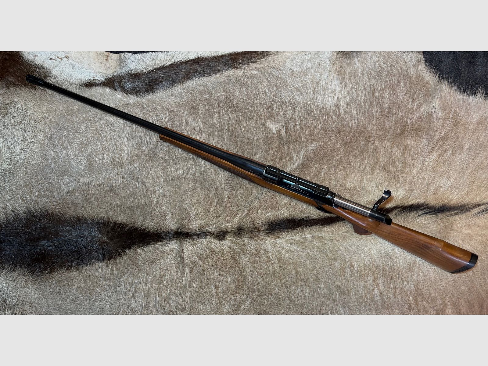Sauer 202 .300 WinMag Elegance
