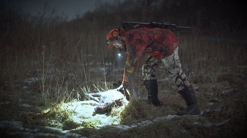 Nachts im Wald – Auf Wildschweinjagd in Schleswig-Holstein